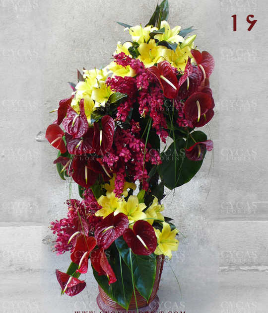 16||||1222||||شادی 6