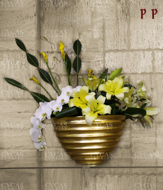 22||||1505||||سیکاس یونیک 8