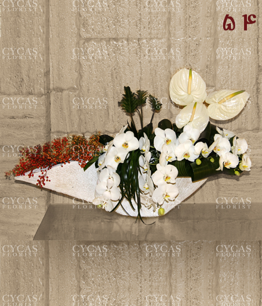 54||||1631||||فانتزی 18